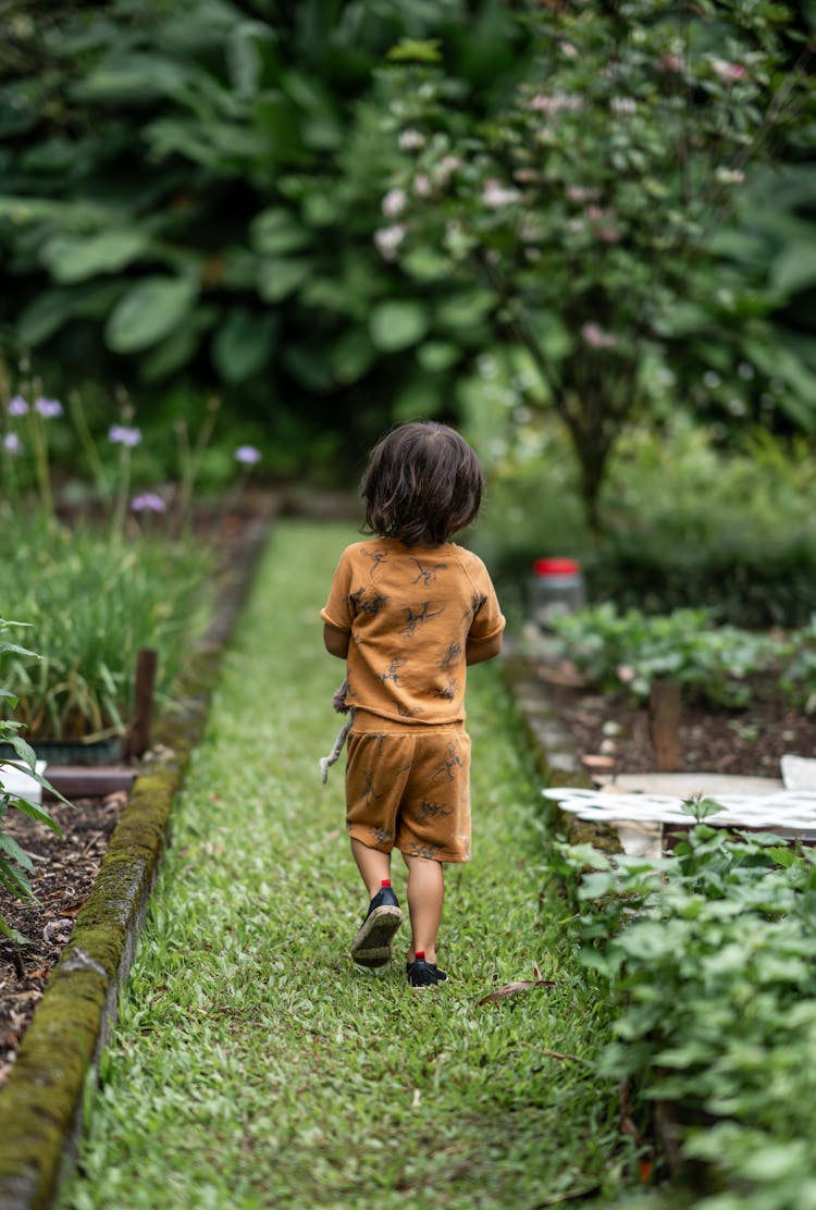 Child Walking In Garden