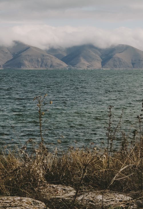 Základová fotografie zdarma na téma břeh jezera, jezero, příroda