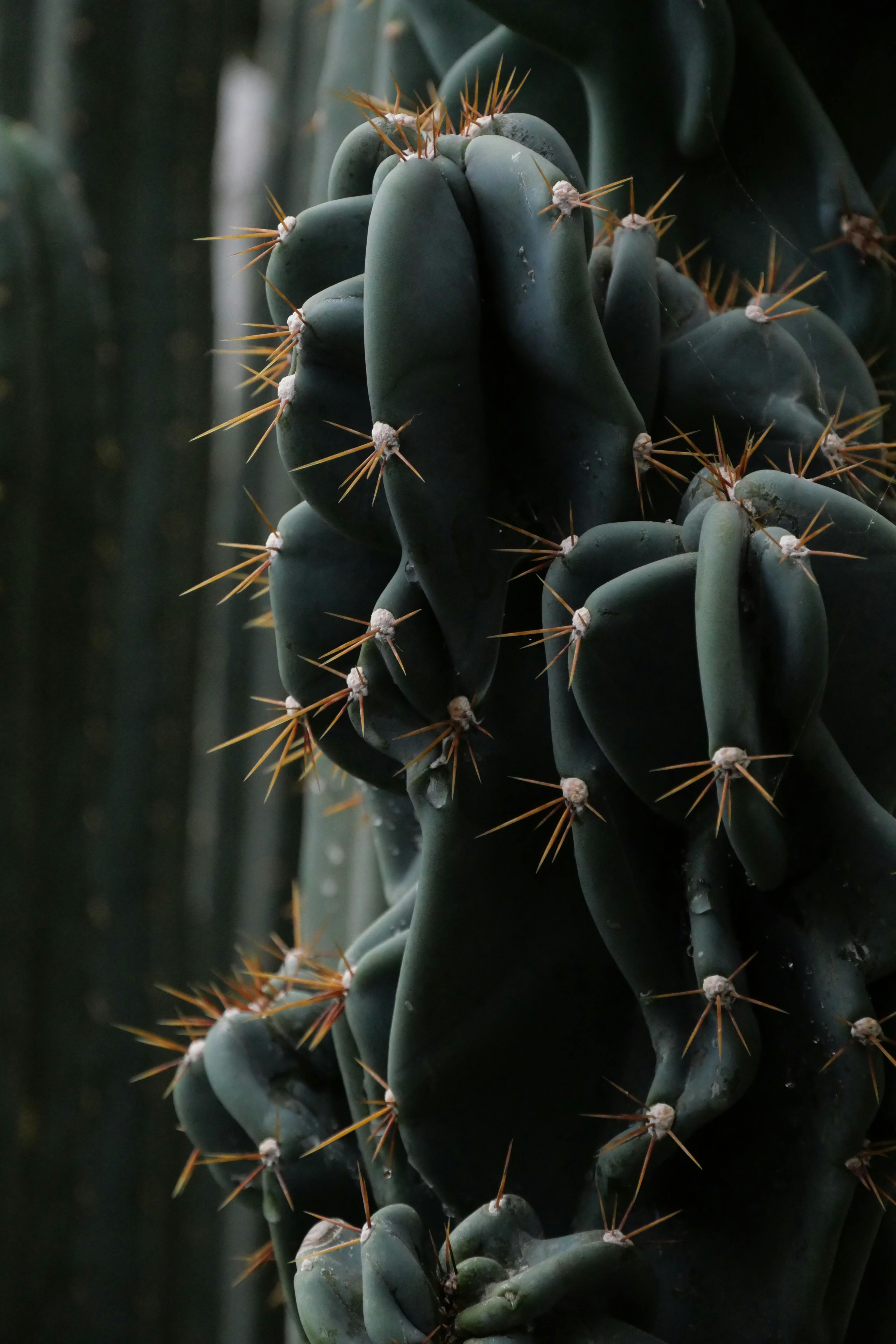 Can Tarot Cards Be Used For Meditation And Visualization? Can Tarot Cards Be Used For Meditation And Visualization?