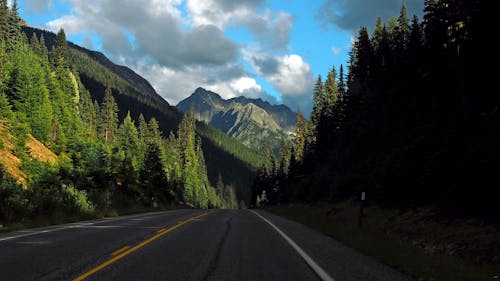Free Road Next to Forest and Mountains Stock Photo