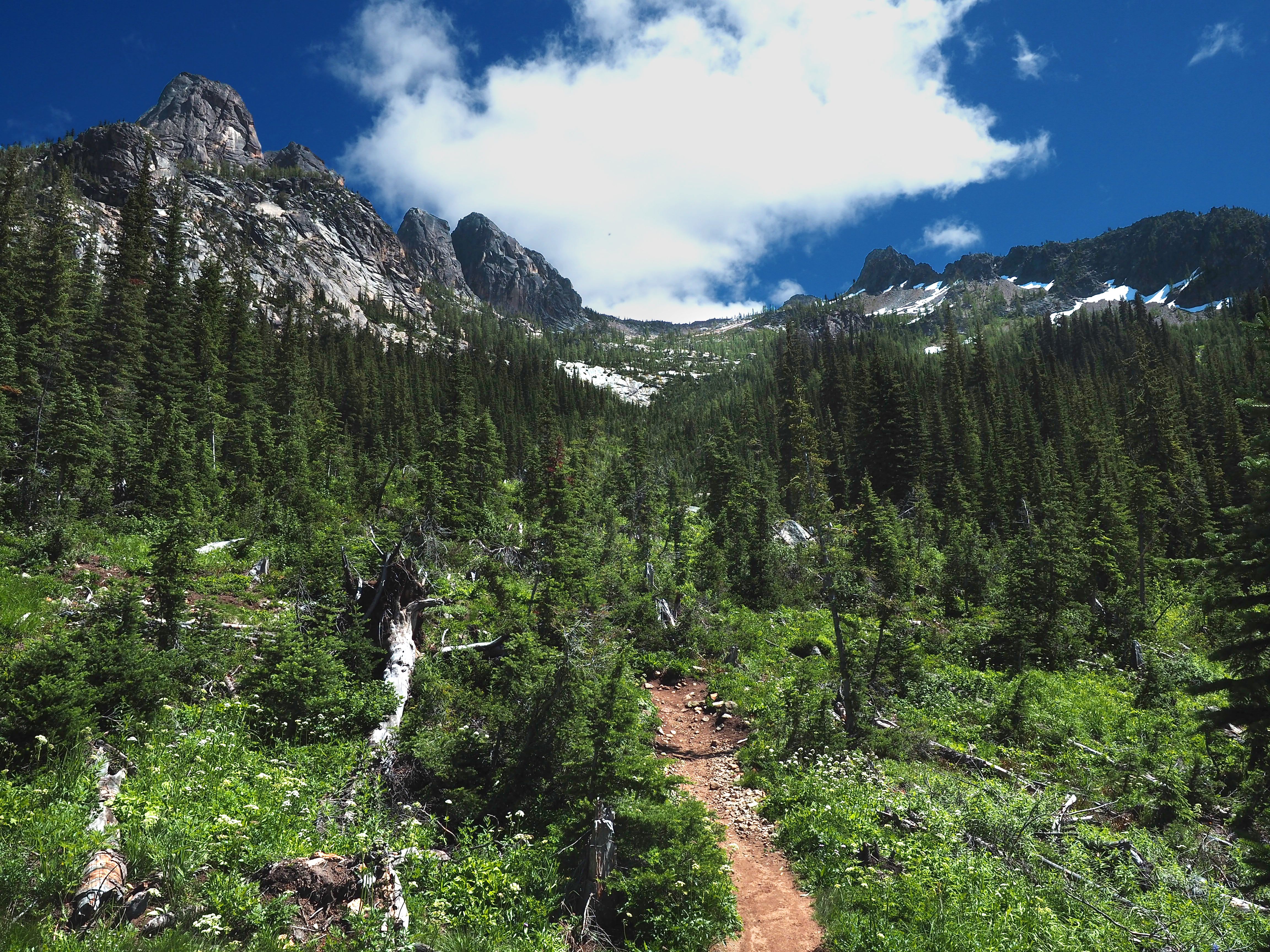 Explore the serene mountain trail amidst lush greenery and majestic peaks under a bright blue sky.