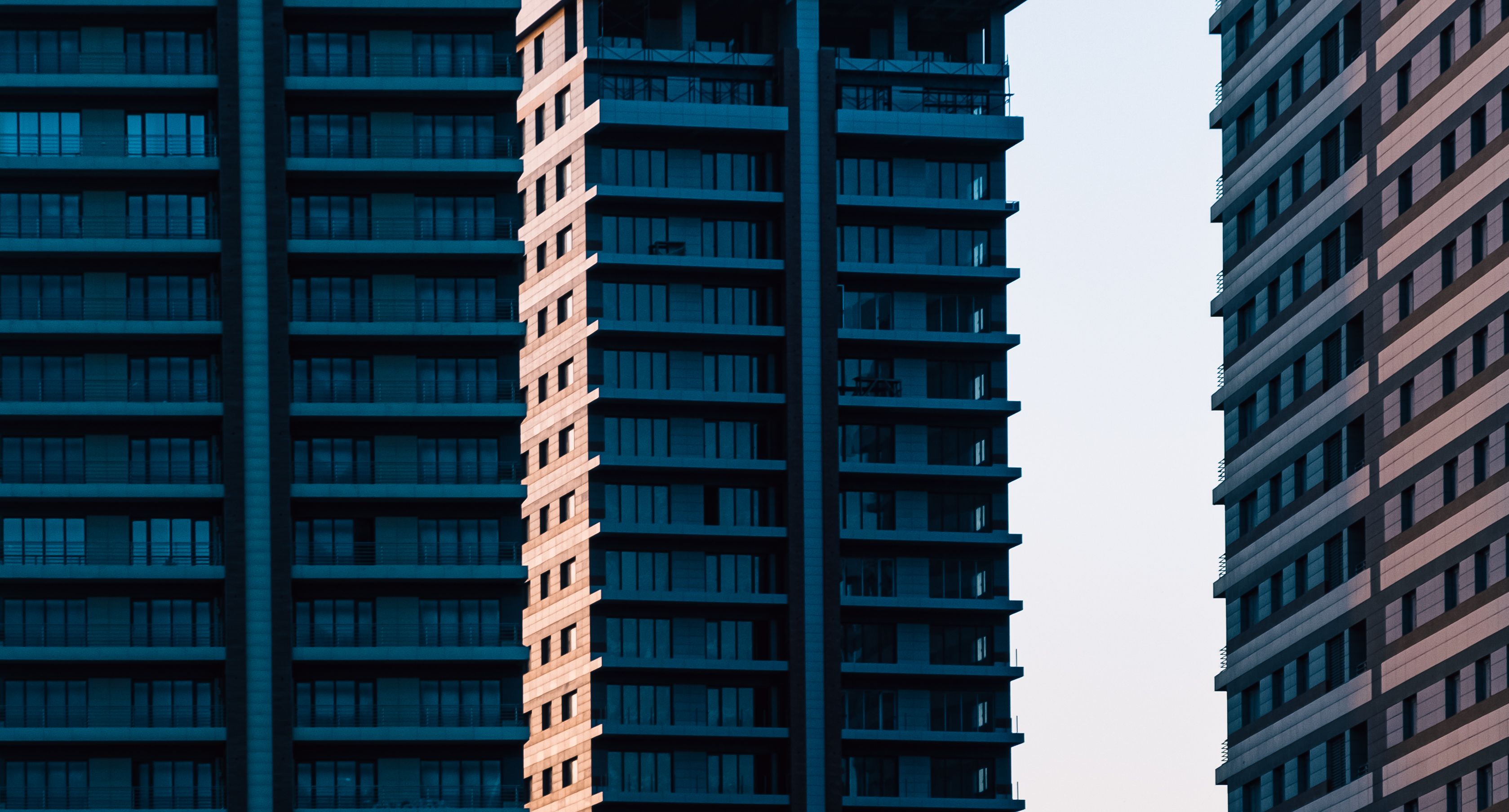 Photo by Javid Hashimov on Pexels