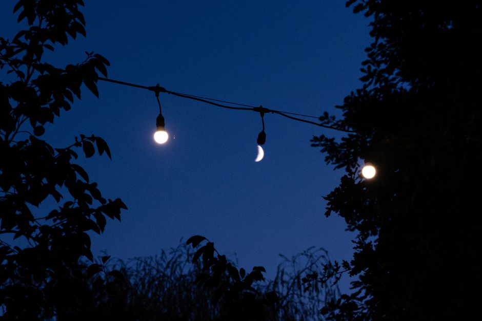 Silhouette of trees with string lights and crescent moon in night sky.