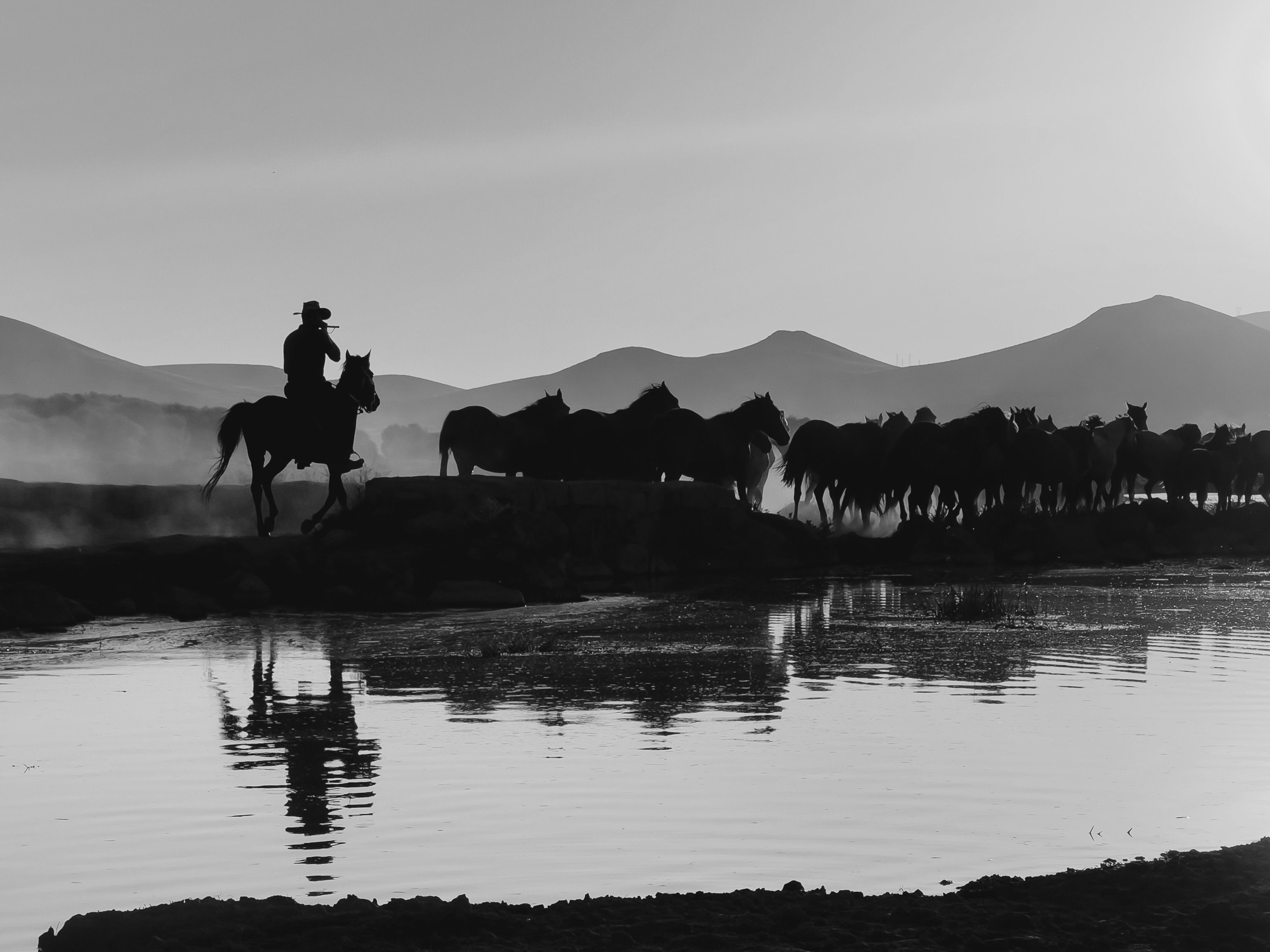 Türkiye’s population prefers Western lifestyle, survey shows — Photo by Mehmet Turgut  Kirkgoz on Pexels