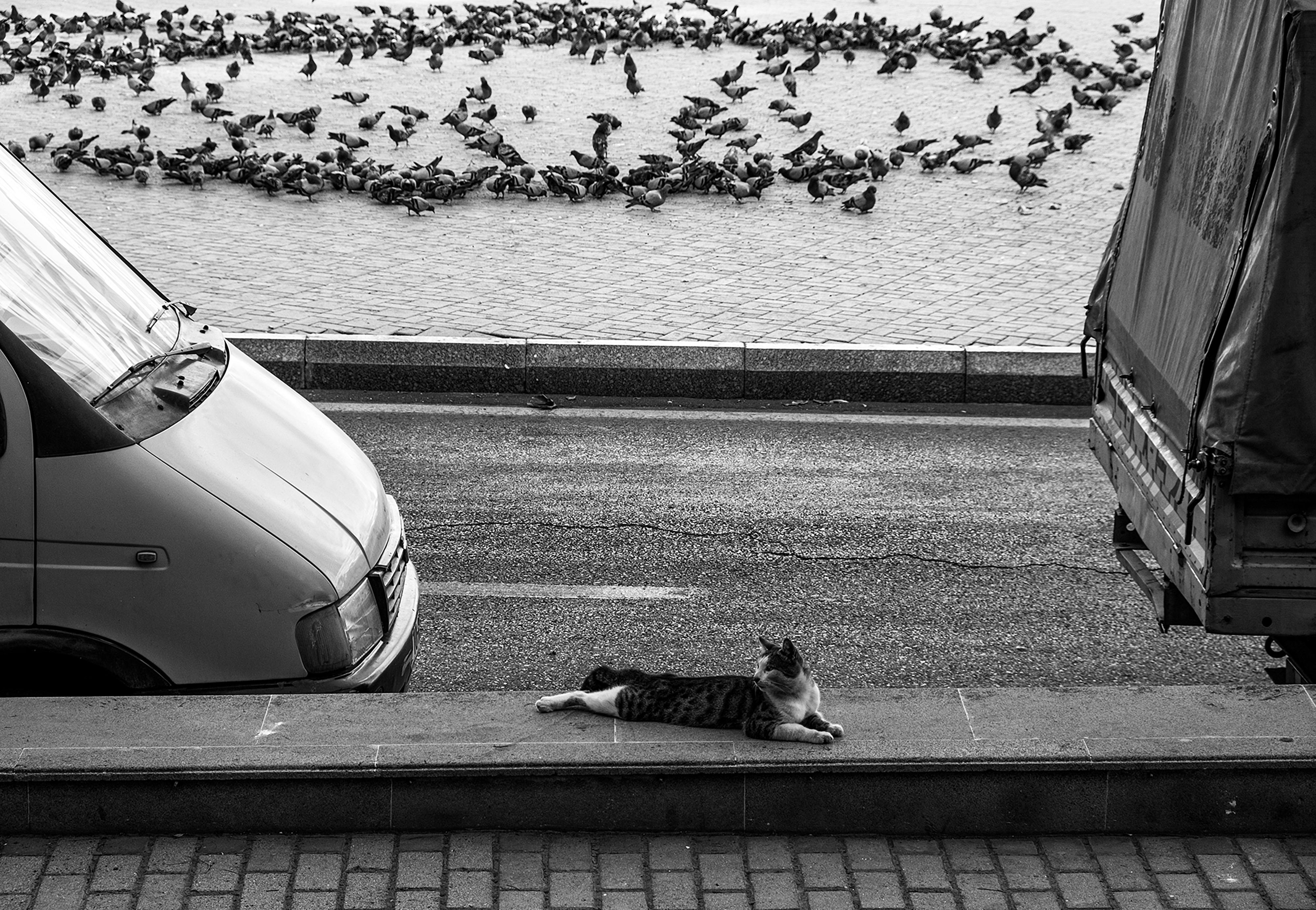 Van Animation Photos, Download The BEST Free Van Animation Stock Photos ...