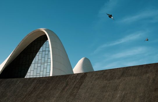 The stunning Neo-Futuristic design of the Heydar Aliyev Centre in Baku, Azerbaijan, with pigeons flying over.