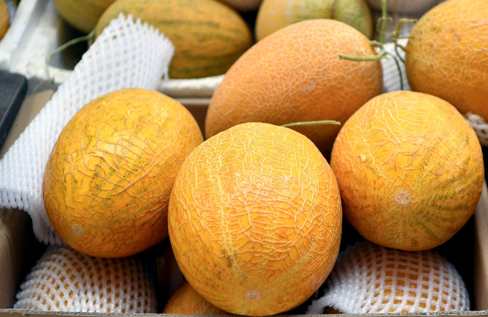 Close-up of fresh organic melons displayed at a market stall in Singapore, showcasing vibrant orange textures.