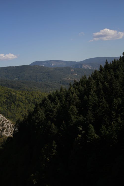 Fotobanka s bezplatnými fotkami na tému divá príroda, hory, krajina