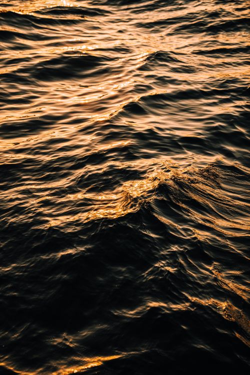 Free Capture of ocean waves glowing with golden sunlight during sunset, creating a serene and warm atmosphere. Stock Photo