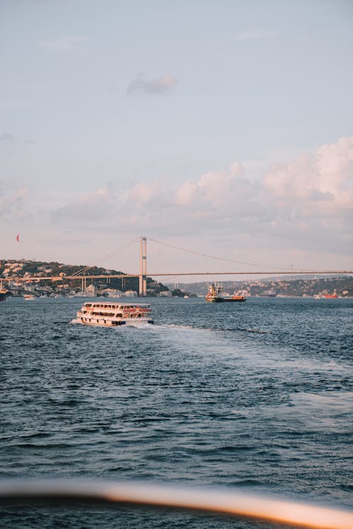 Δωρεάν στοκ φωτογραφιών με βόσπορος, γαλοπούλα, γέφυρα