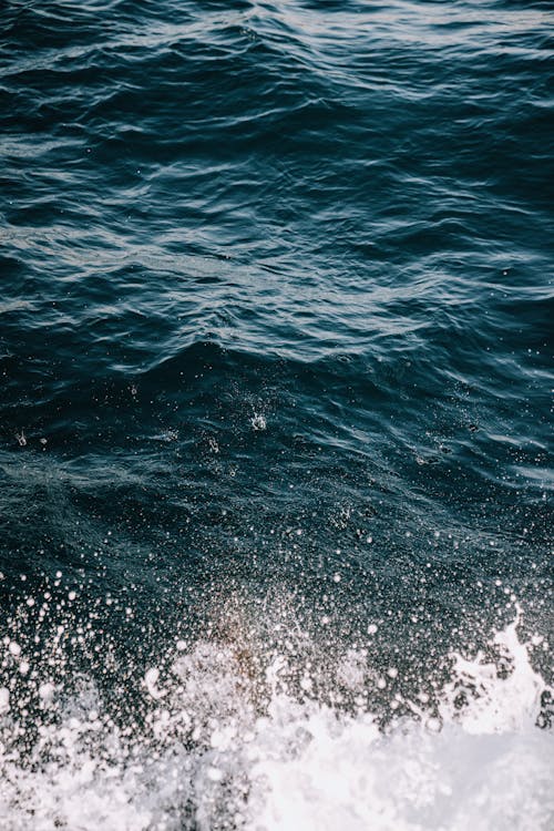 Ilmainen kuvapankkikuva tunnisteilla aalto, lähikuva, meri