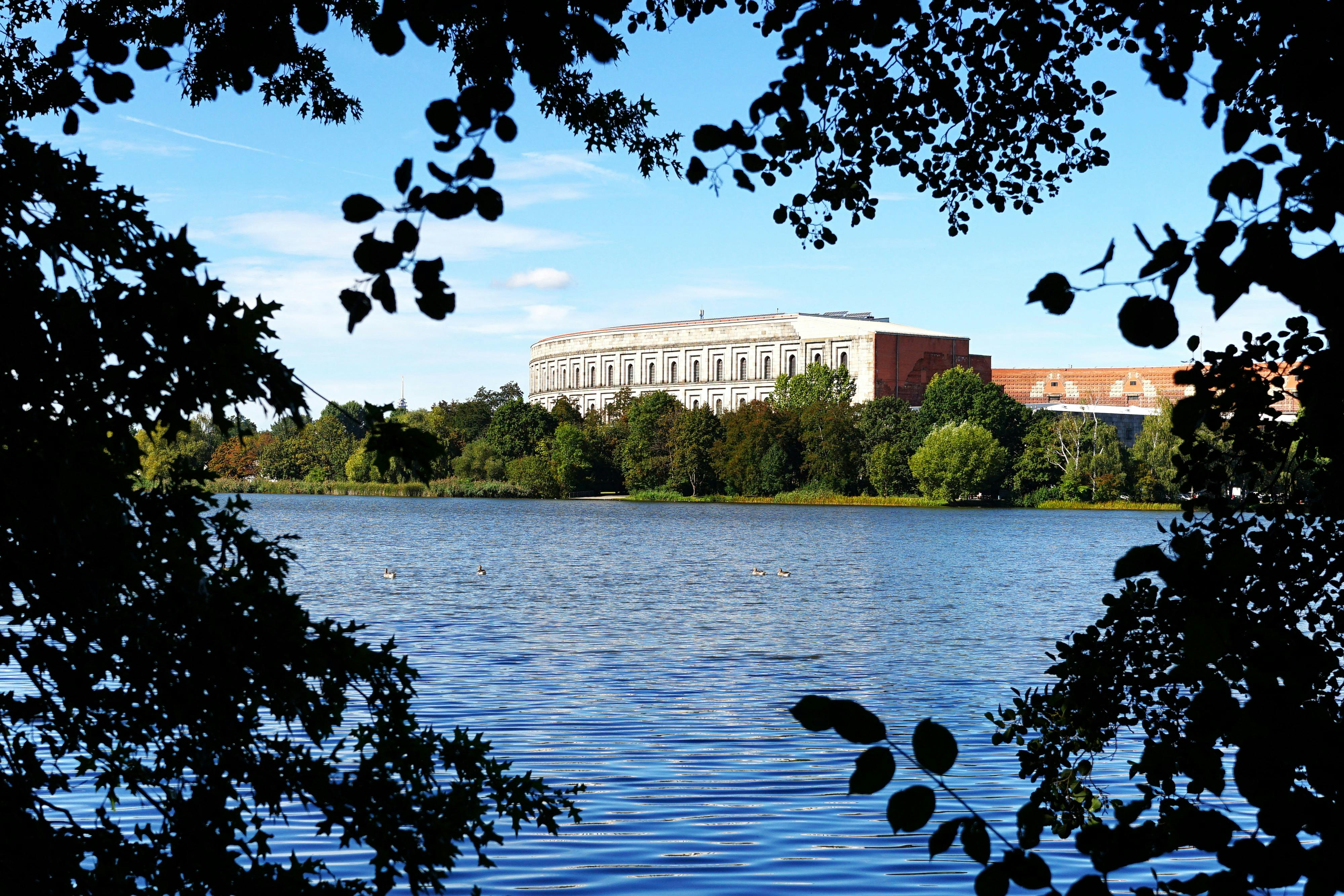 Kostenloses Foto zum Thema blätter, deutschland, einrahmung