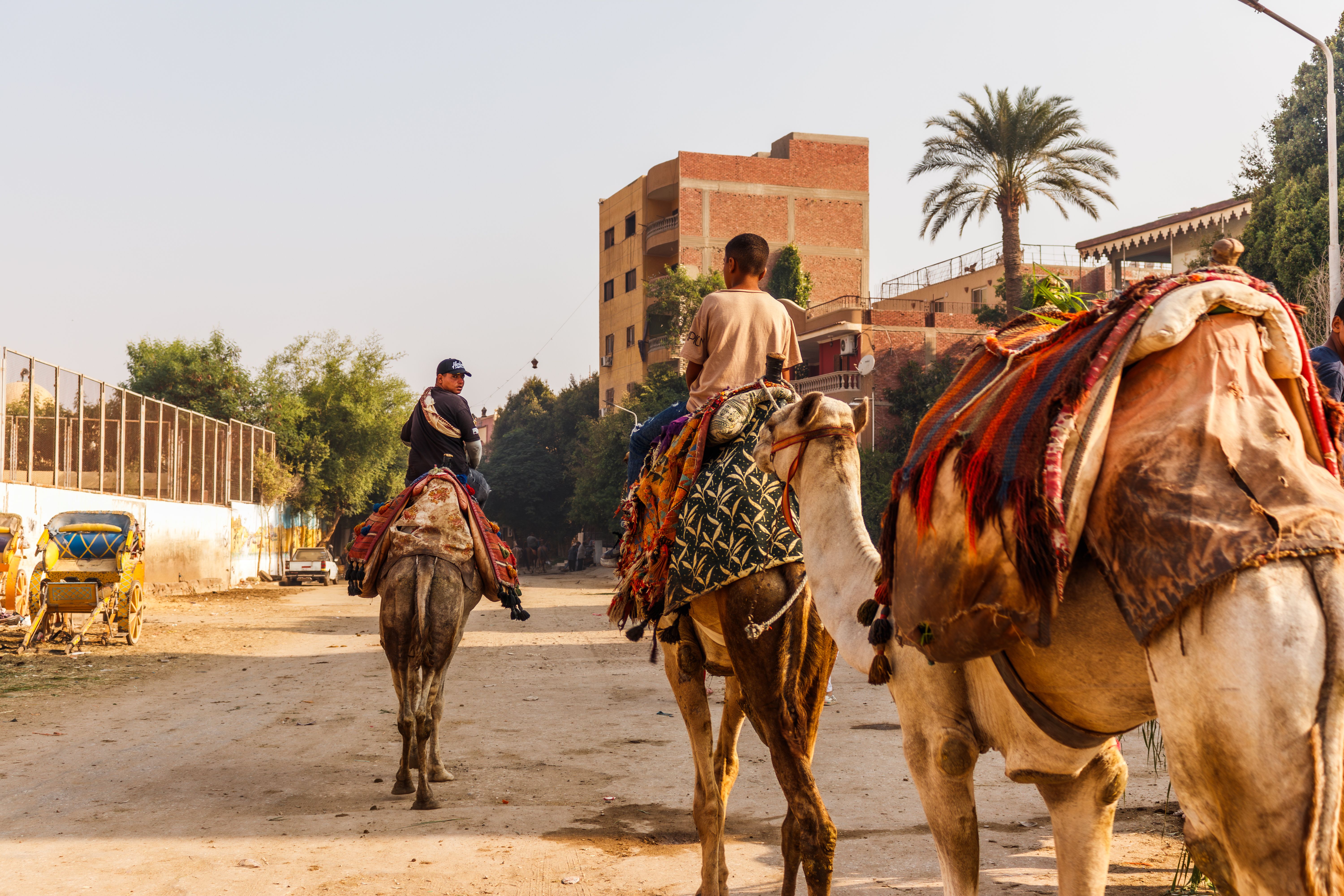 IGCSE School Activities Day Cairo | Event Style Egypt — Essential Back to School Event Ideas Cairo for Campus Integration