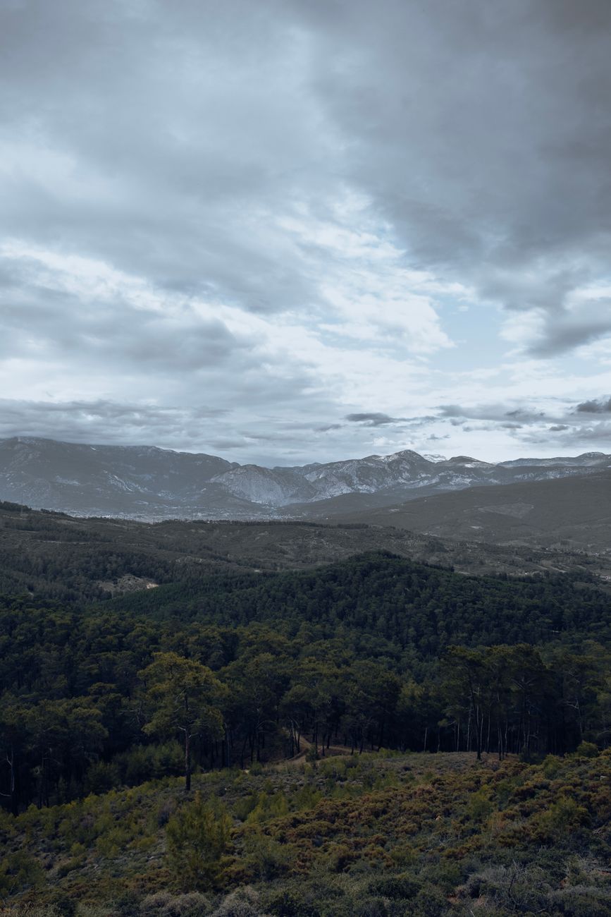 Captivating aerial view of a lush forest with rolling hills and majestic mountains under an overcast sky.