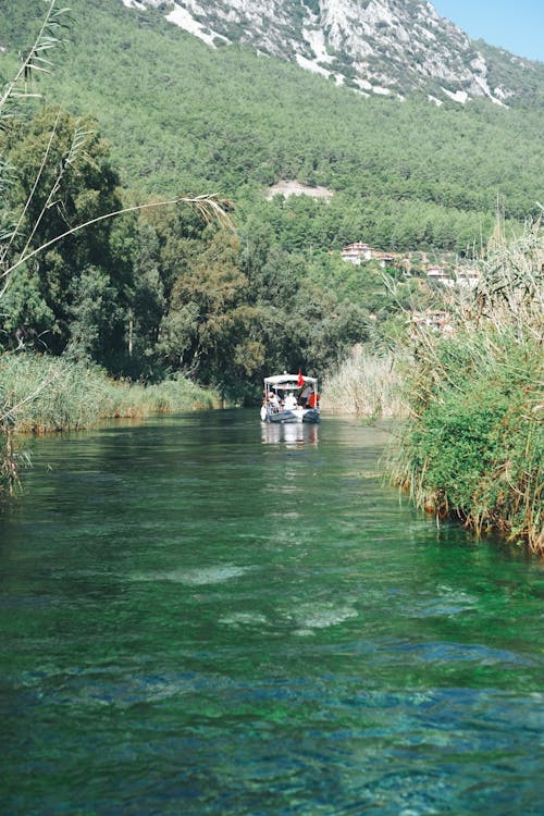 Motorboat on River in Forest