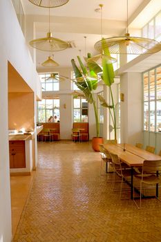 Contemporary restaurant interior with abundant natural light, stylish furniture, and lush houseplants.