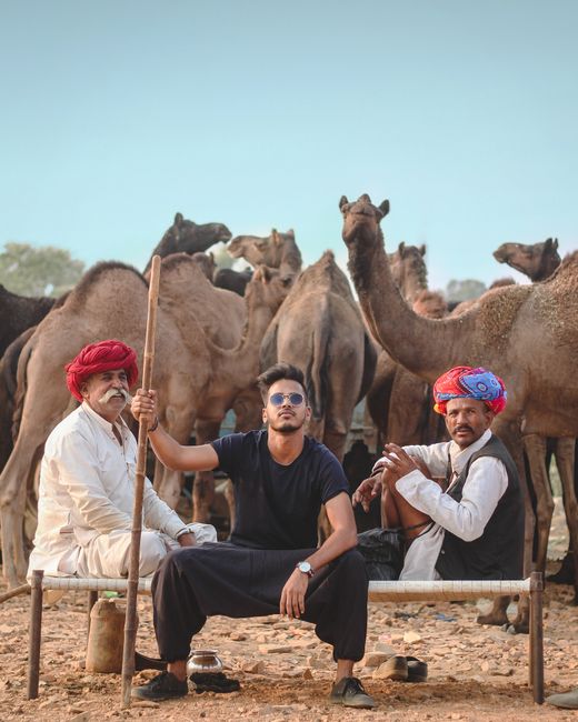 A group of three men sitting with camels in a desert setting.