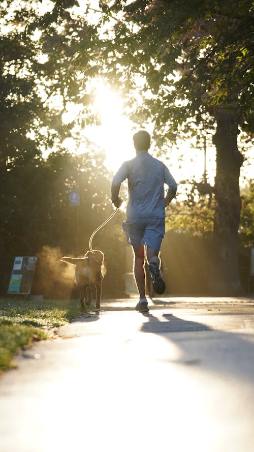 Man Jogging with his Dog in a Park 