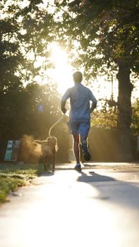 Back view of a man jogging with his dog on a sunny morning in an English park.
