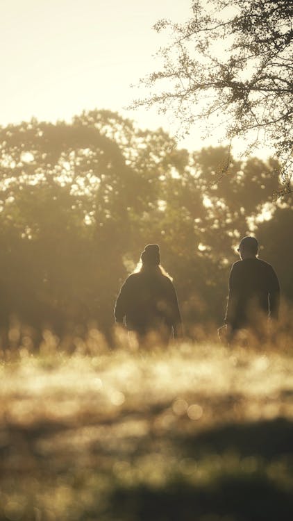 Couple on Grassland at Sunset