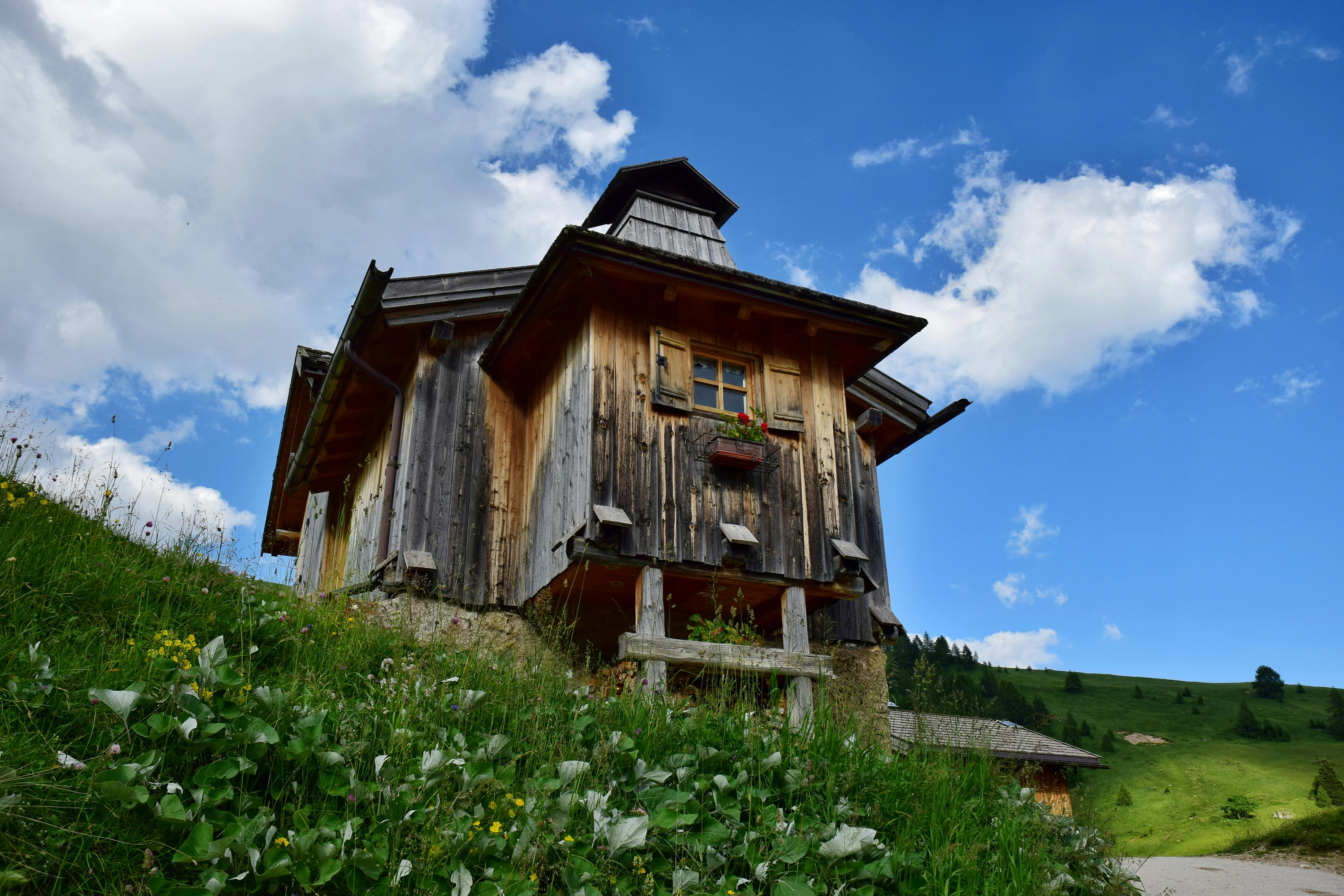 Shelter In Scripture What Does Refuge Mean In The Bible 2024