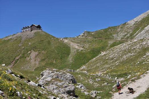Hiker and dog on a scenic trail leading to Rifugio Passo Selle in Italy's Trentino-Alto Adige.
