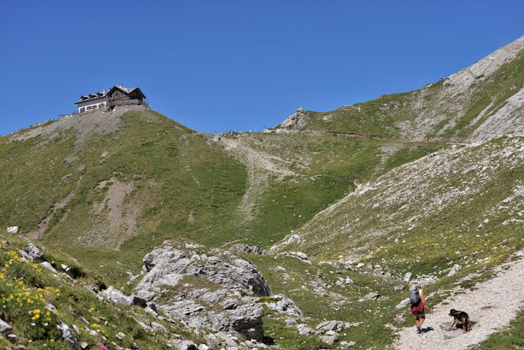 Person With A Dog Walking On A Trail To Rifugio Passo Selle In Italy