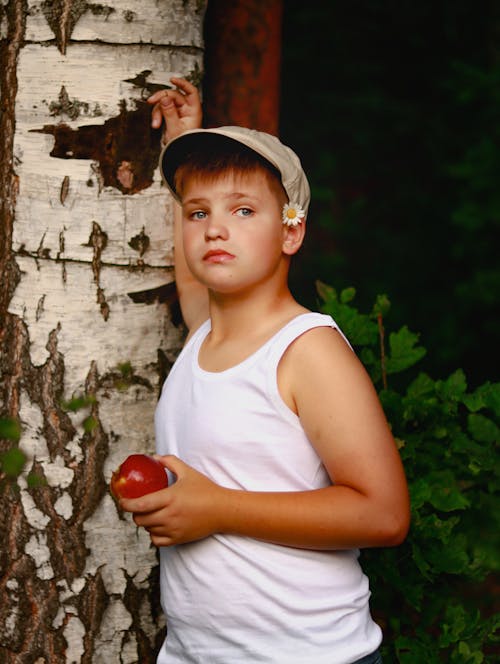 Kostenloses Stock Foto zu apfel, baum, birke