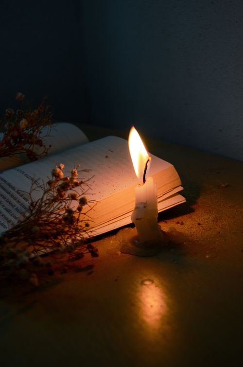 Free An atmospheric still life of a candle lighting an open book, surrounded by dried plants on a wooden desk. Stock Photo