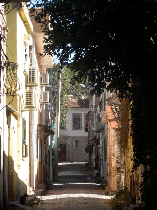 Free Sunlit narrow alleyway with charming buildings and cobblestone path in an urban setting. Stock Photo