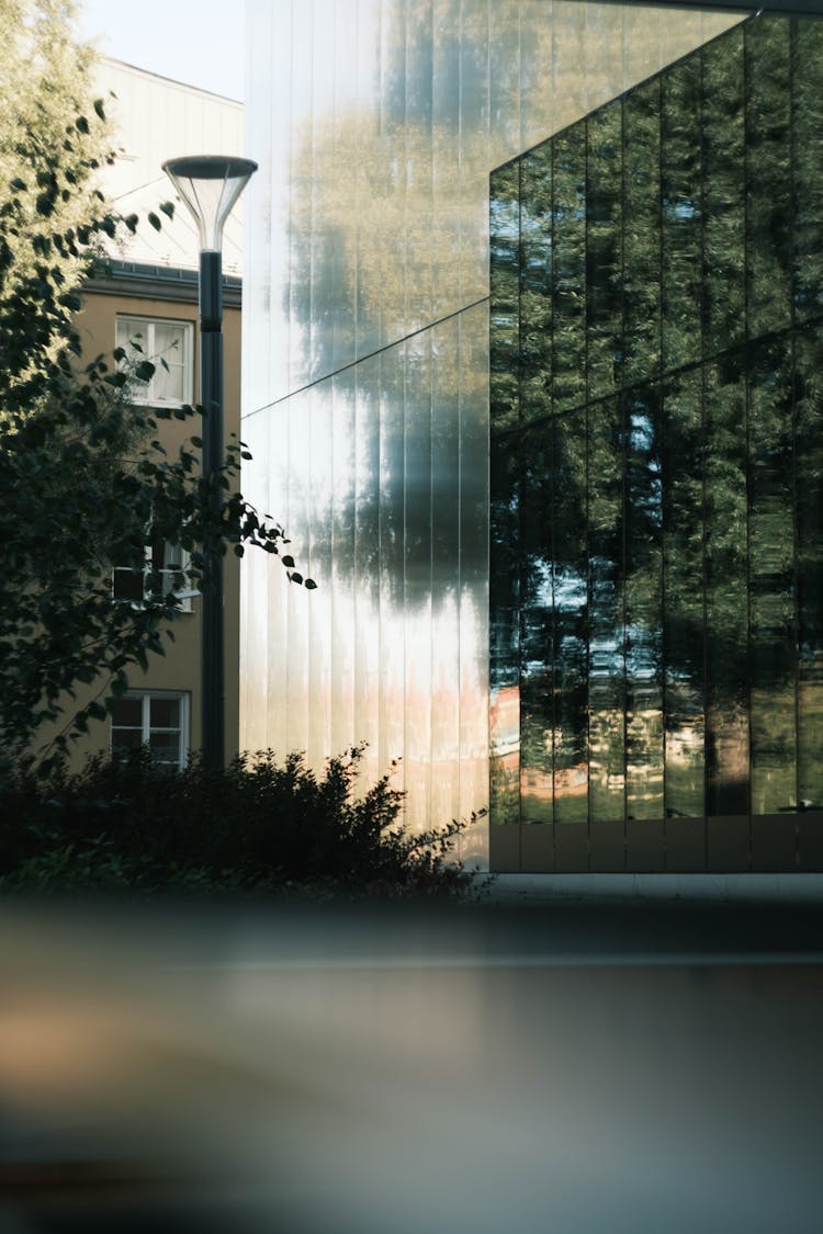 Street Lamp And Windows Of Office