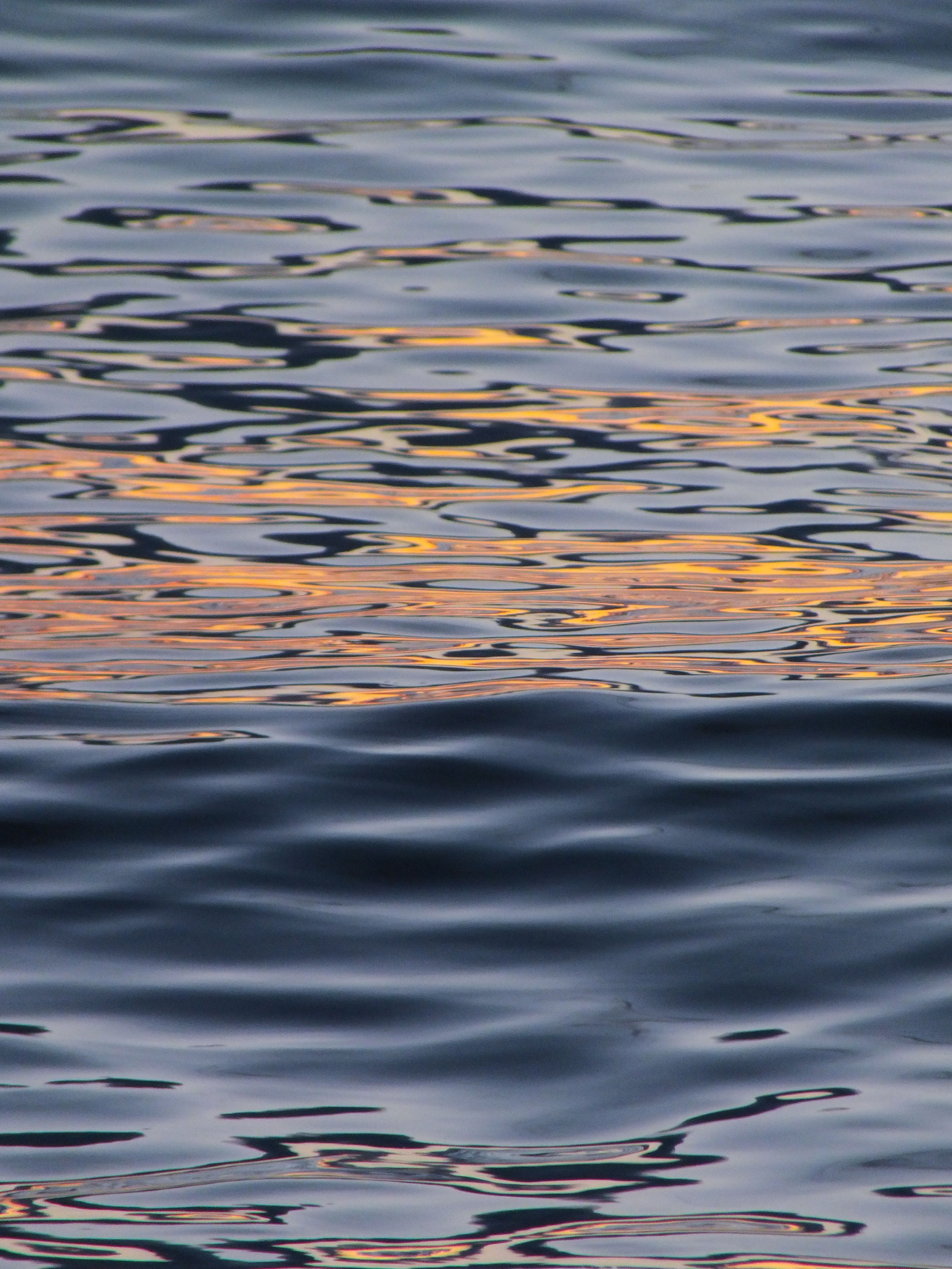 Ripples in Sea · Free Stock Photo
