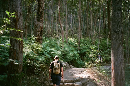 Kostnadsfri bild av backpacker, fritid, gångstig