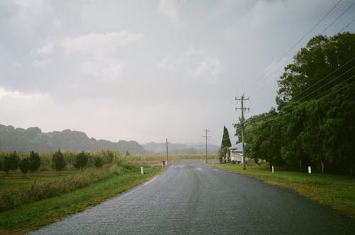 Wet Road in Countryside