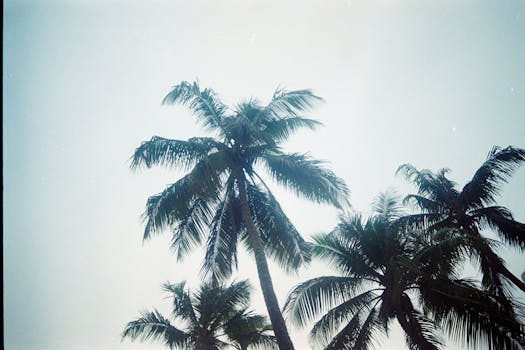 Salalah, Oman photo 11