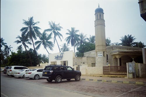 Mosque and a Minaret Tower 