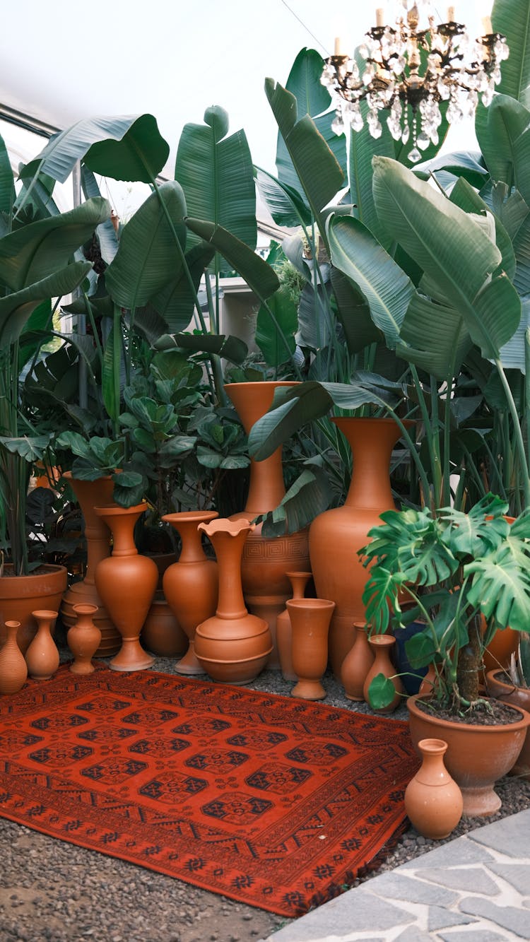 Carpet, Decorative Vases And Plants