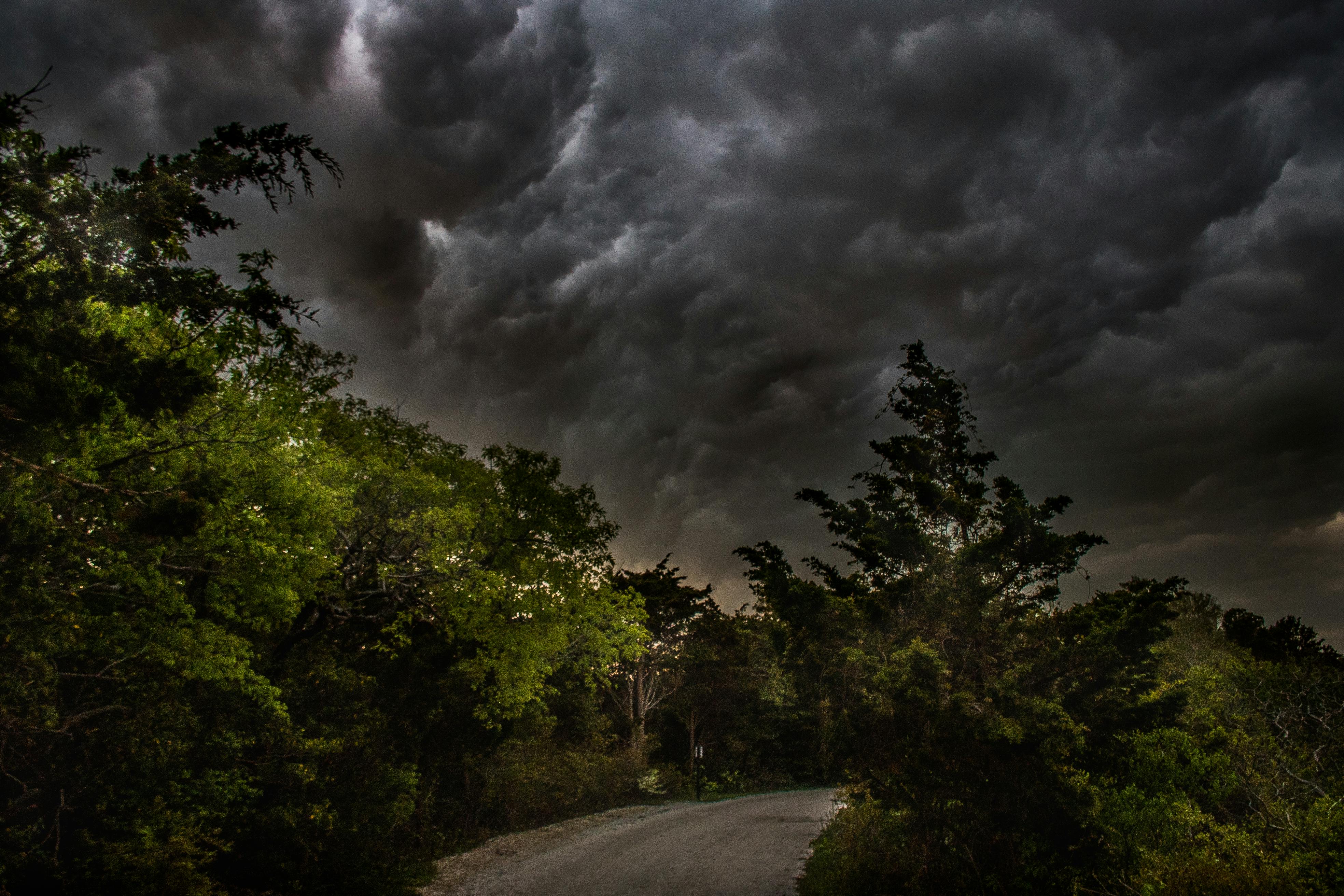Lake Lucerne Boat Trip