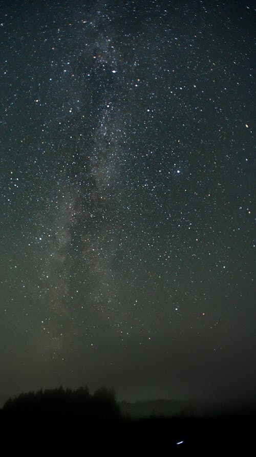 Imagine de stoc gratuită din arbori, astrofotografie, astronomie