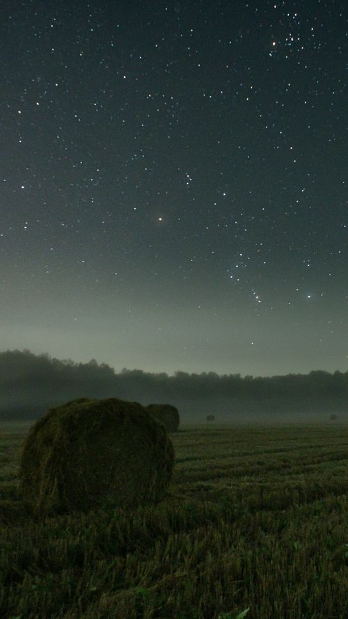Free A tranquil night scene of a foggy field with hay bales under a star-filled sky. Stock Photo