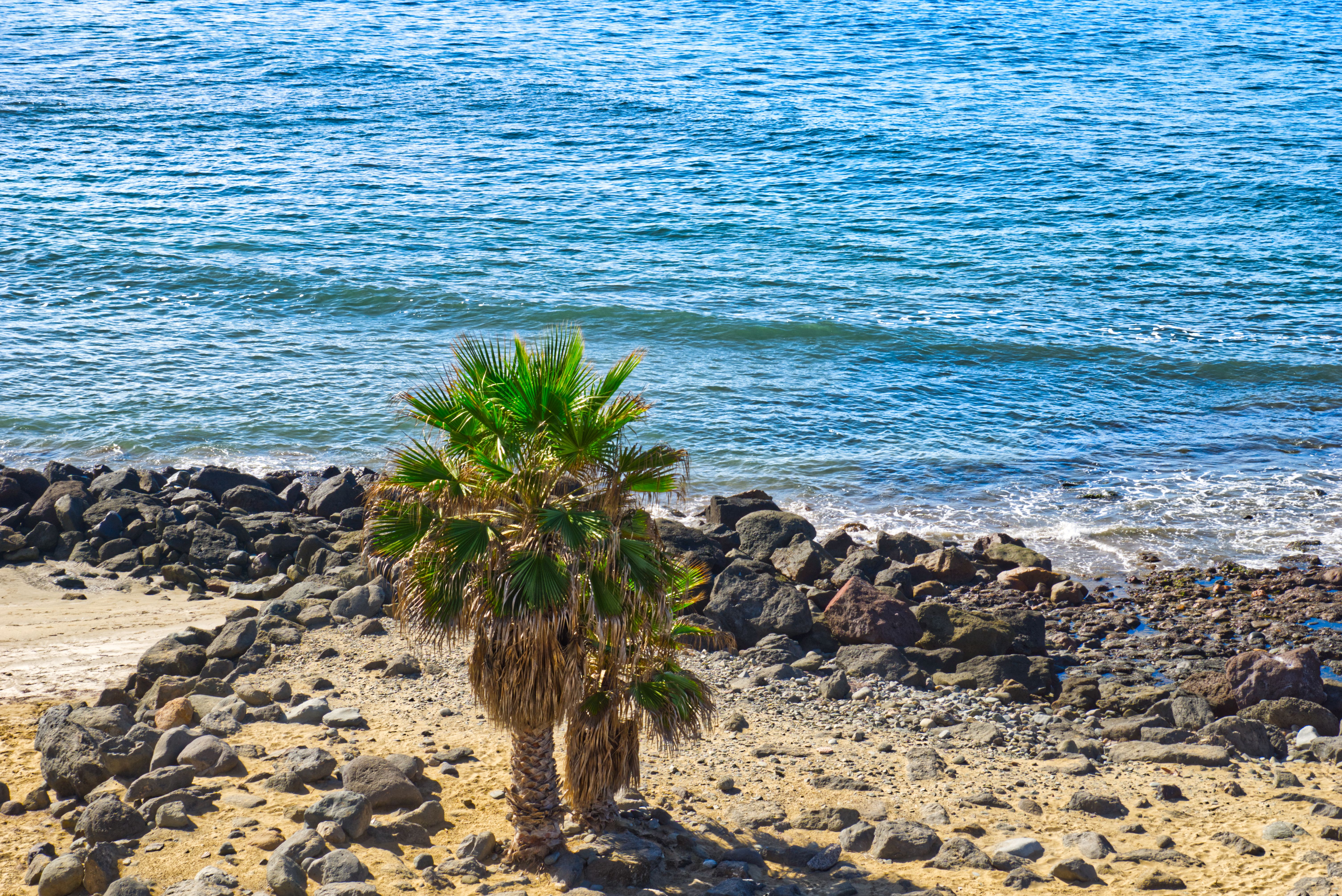 Fotos de Costa Calma, Las Palmas, Islas Canarias