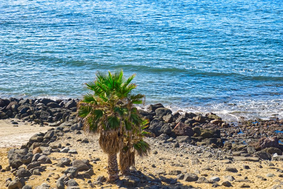 Fotos de Maspalomas, Gran Canaria, Las Palmas, Canarias