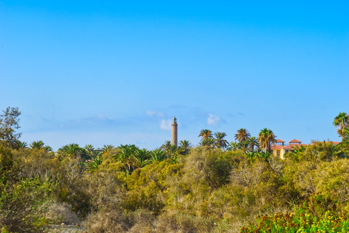 Бесплатное стоковое фото с голубое небо, гран-канария, маяк