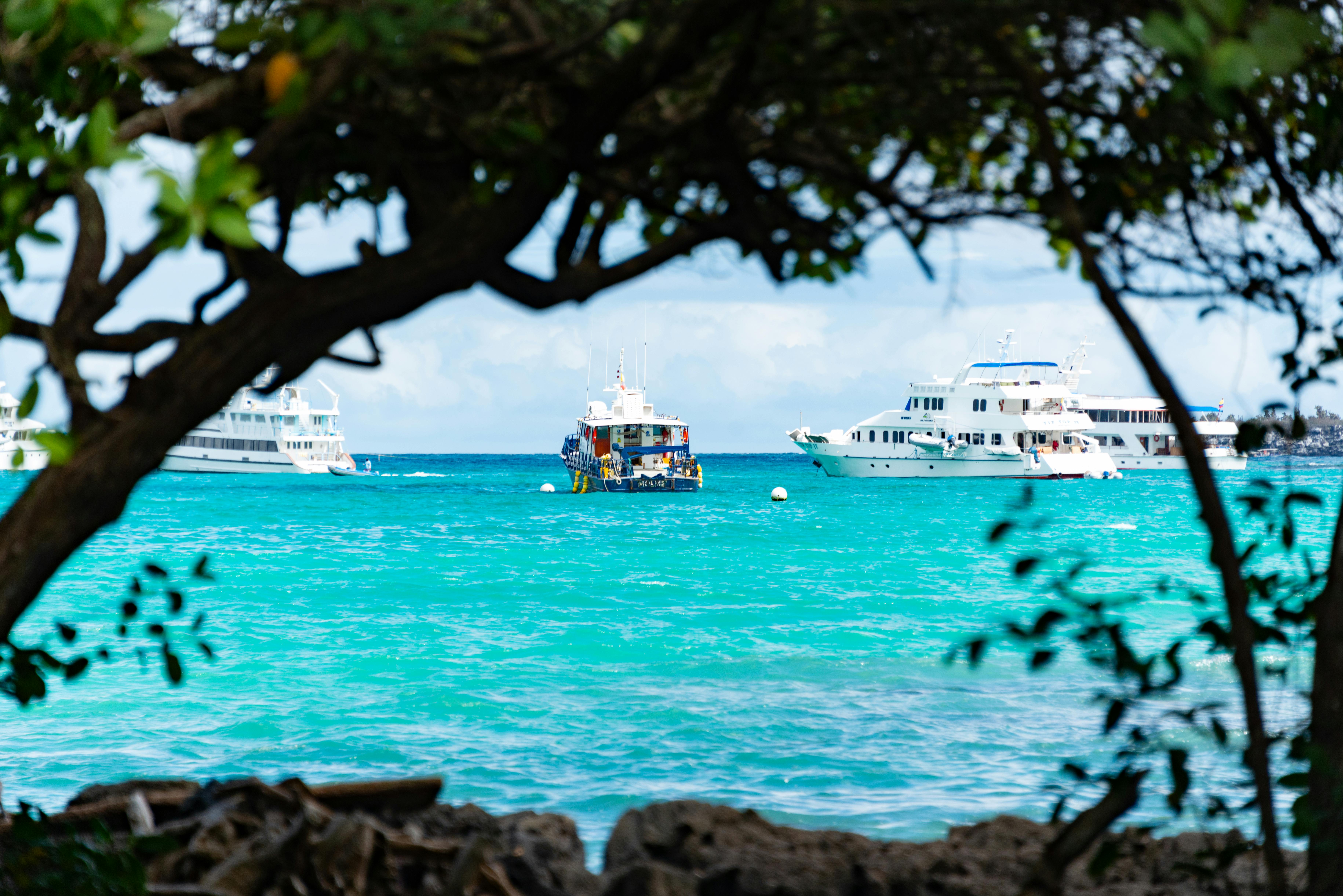 Moored yachts in turquoise tropical waters framed by lush greenery. Perfect summer vacation setting.