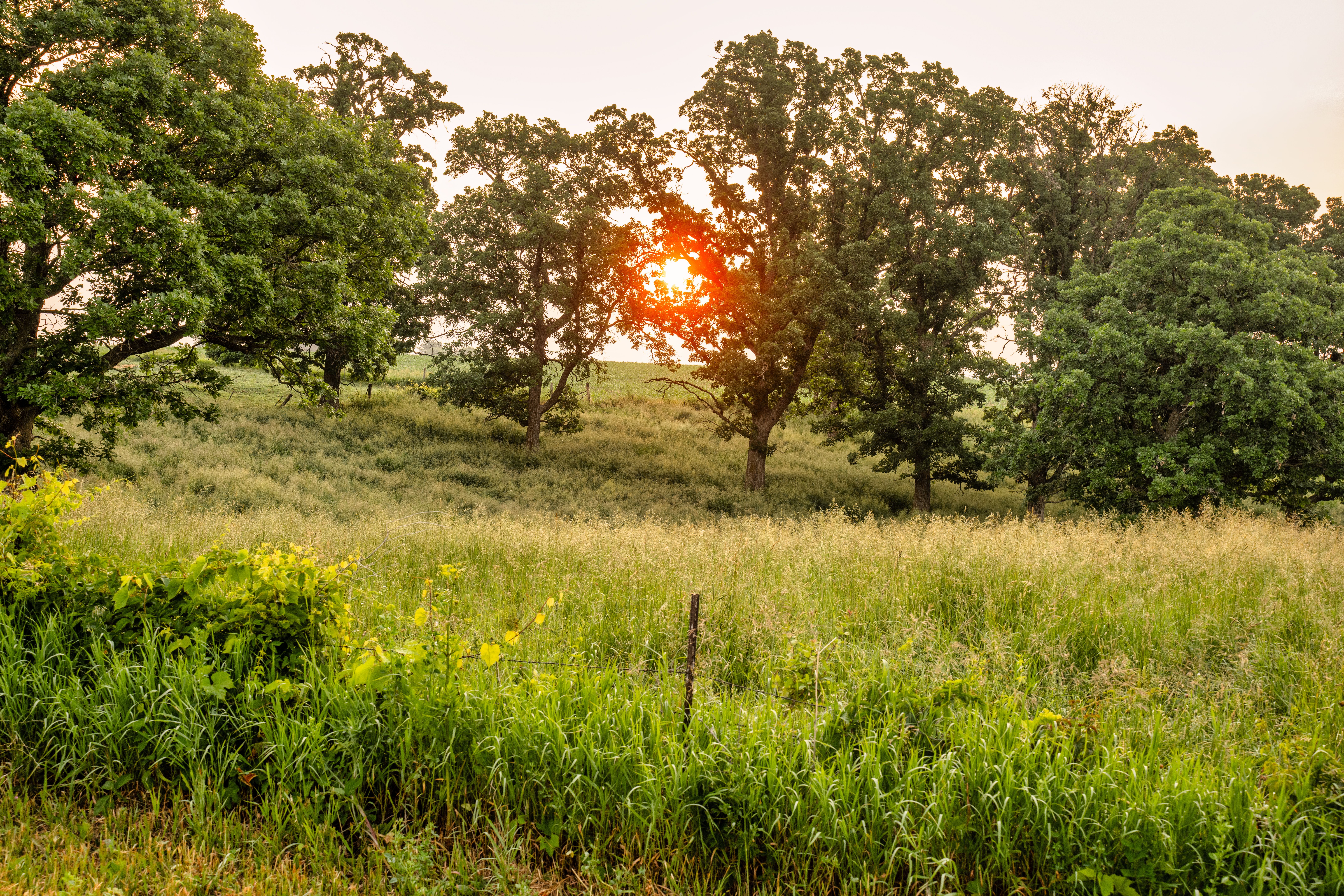 Year-end financial planning for farmers — Photo by Tom Fisk on Pexels