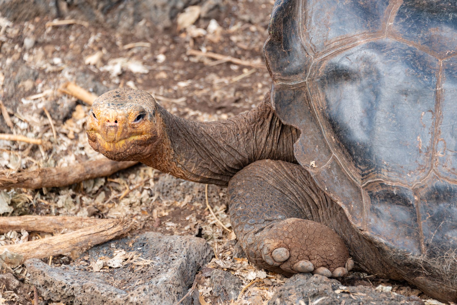 Galápagos, Ecuador