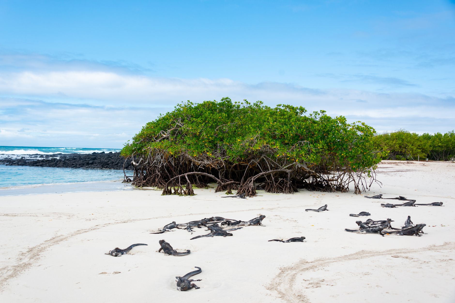 Popular sights in Galapagos Islands Landmarks in Galapagos Islands