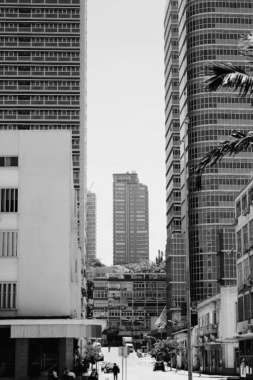 垂直拍攝, 城市, 城市街道 的 免費圖庫相片