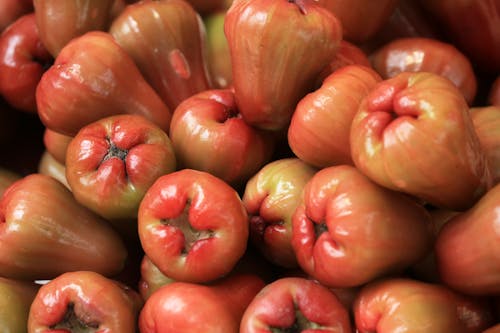 Batch of Shiny Wax Apples