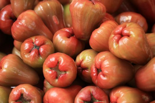 Macopa (Wax Apple)